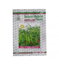 Chilli / Hot Pepper Prapti-141 10 grams